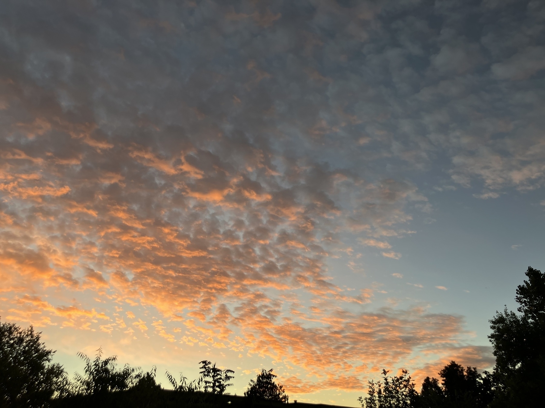 cloud dappled sky at sunrise